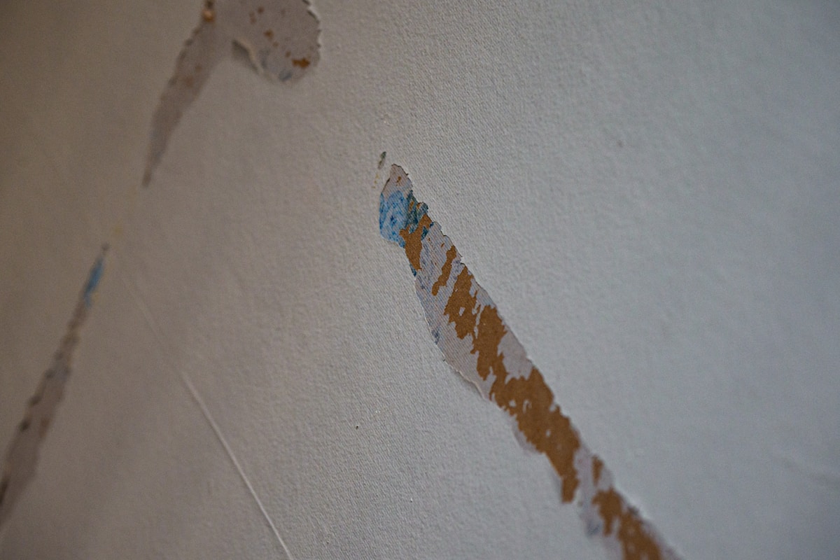 Mold Remediation service in Lubbock, TX